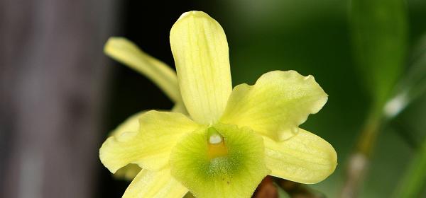 035