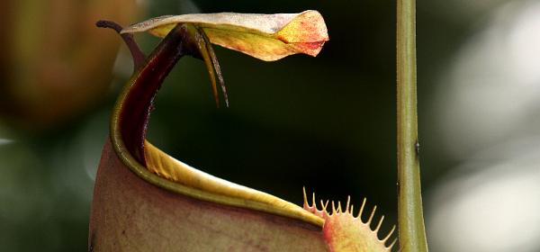 039