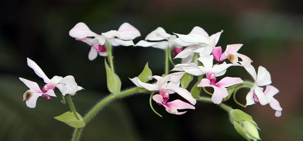 043
