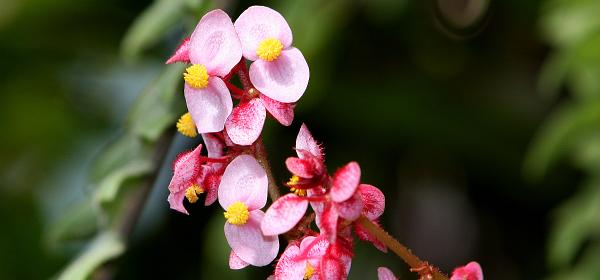 047