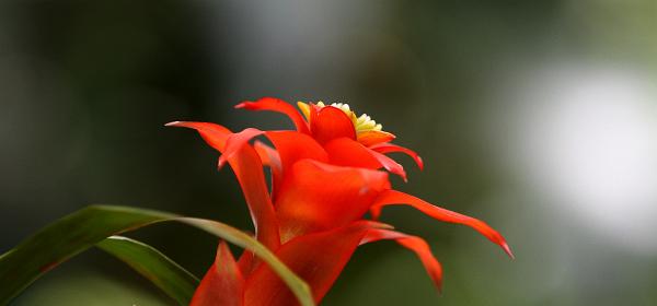 054