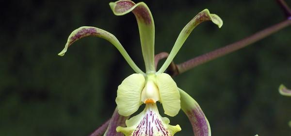 061