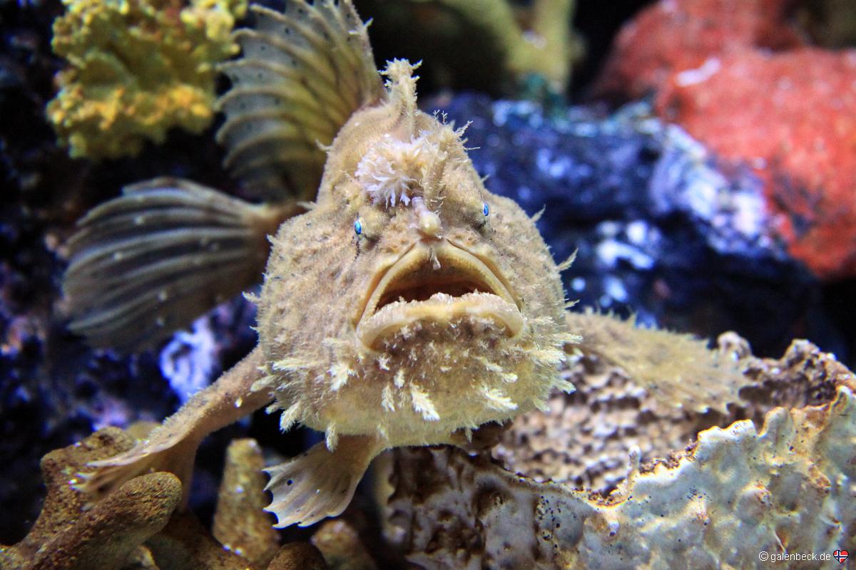 Mote Marine Aquarium