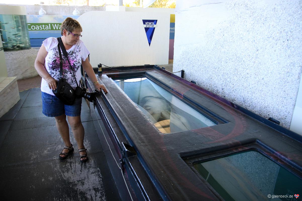 Mote Marine Aquarium