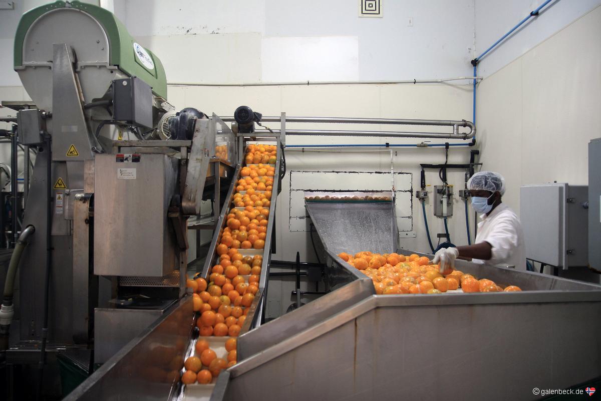 Sun Harvest Citrus