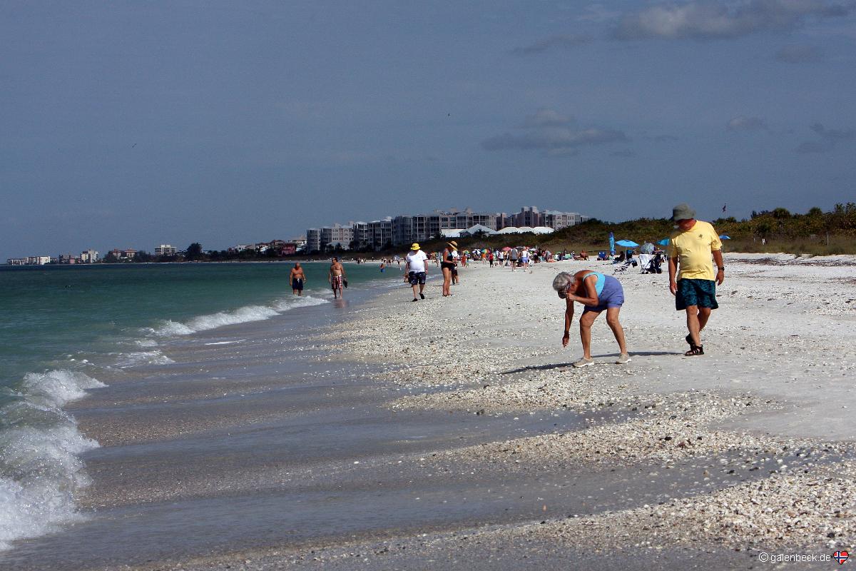 Barefoot Beach Preserve