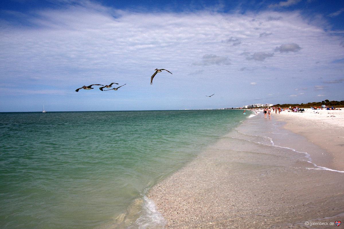 Barefoot Beach Preserve