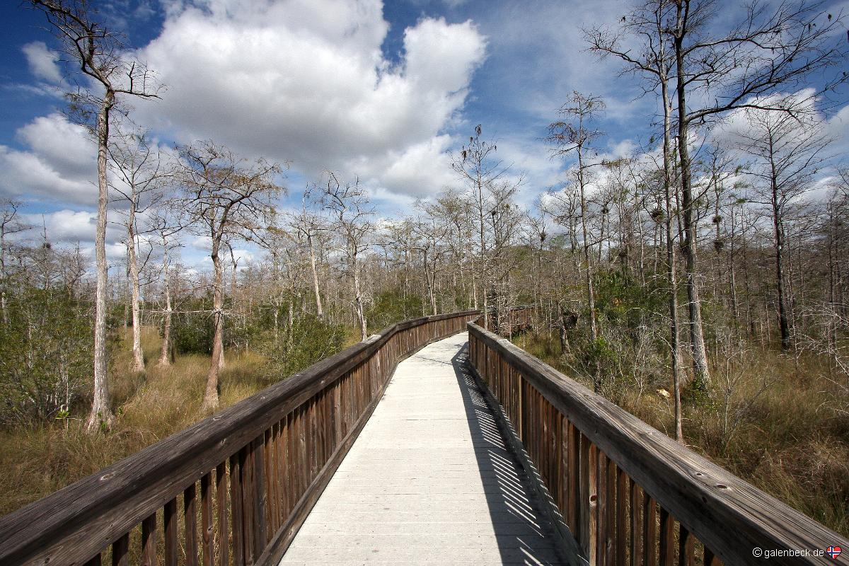 Kirby Storter Roadside Park