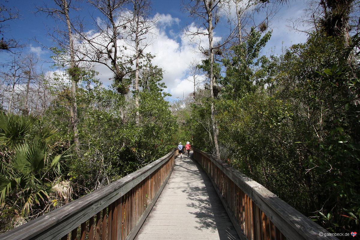 Kirby Storter Roadside Park