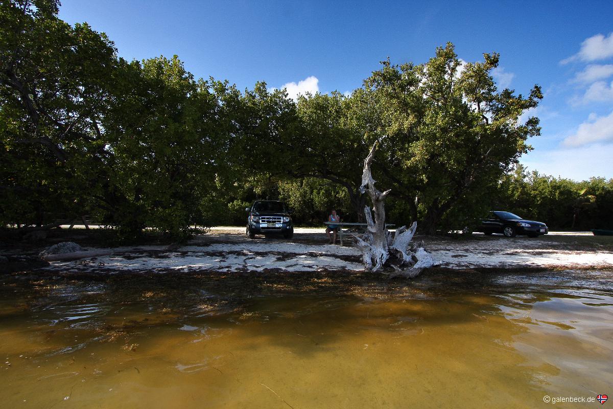 Long Key State Park