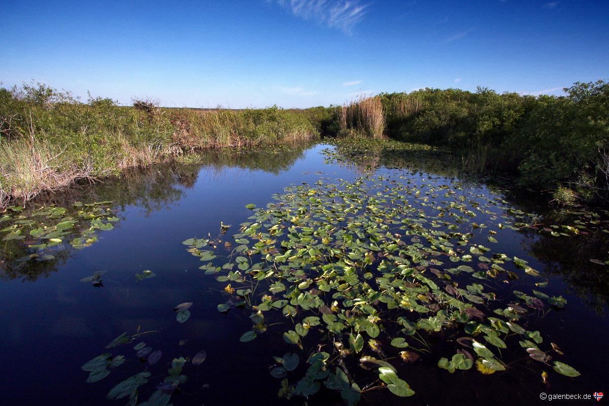 Everglades National Park Anhinga Trail