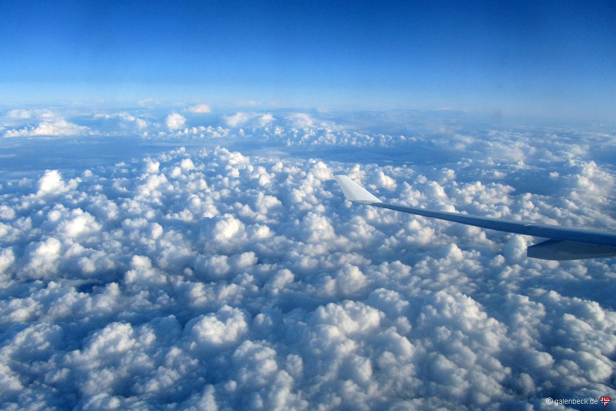 Flug Miami nach Düsseldorf