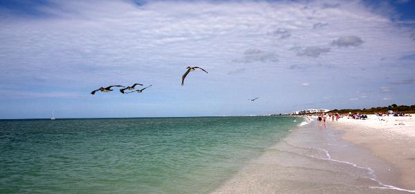 Barefoot Beach Preserve