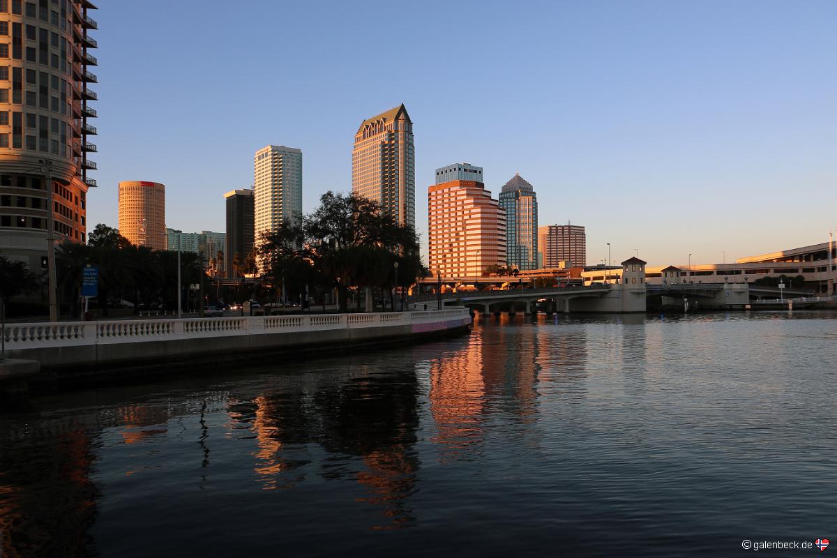 Tampa Skyline