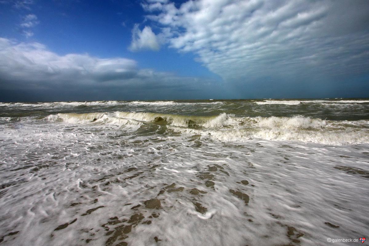 Barefoot Beach Preserve