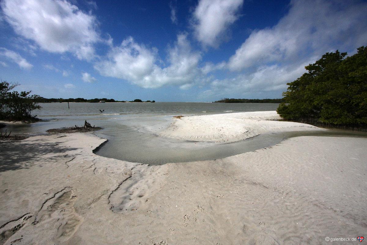 Lee County Dog Beach