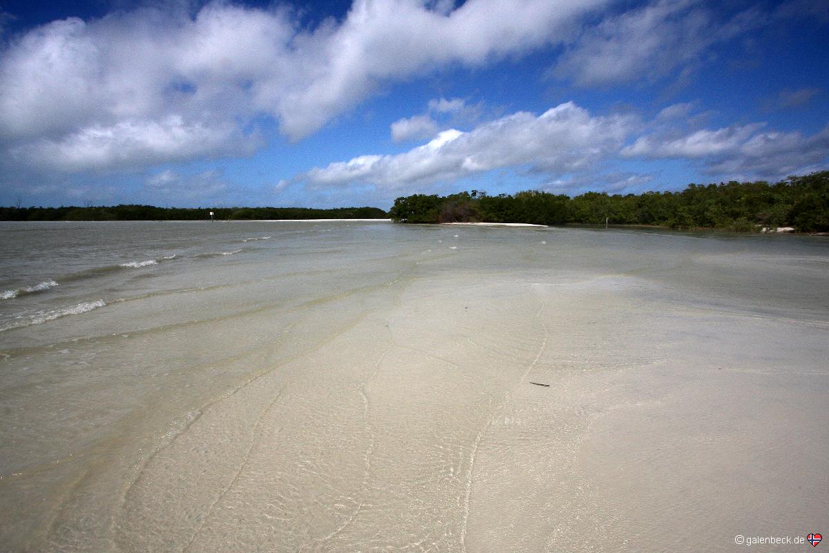 Lee County Dog Beach