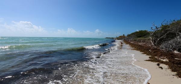 Bahia Honda State Park