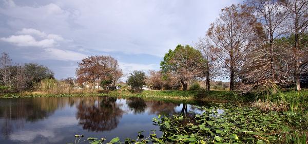 Loxahatchee National Wildlife Refuge
