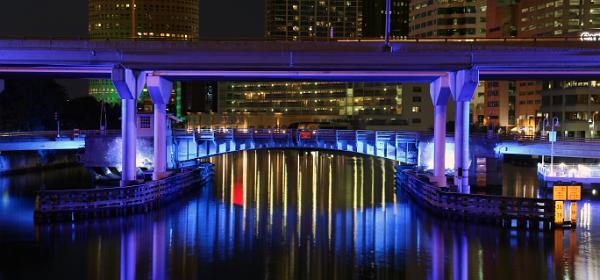Tampa Skyline