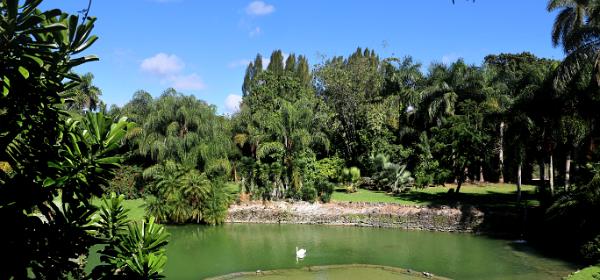 Pinecrest Gardens