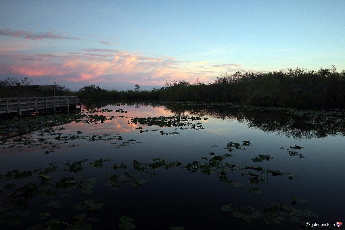Anhinga Trail