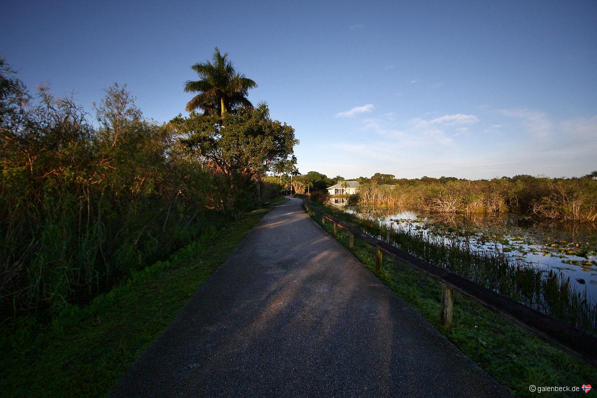 Anhinga Trail