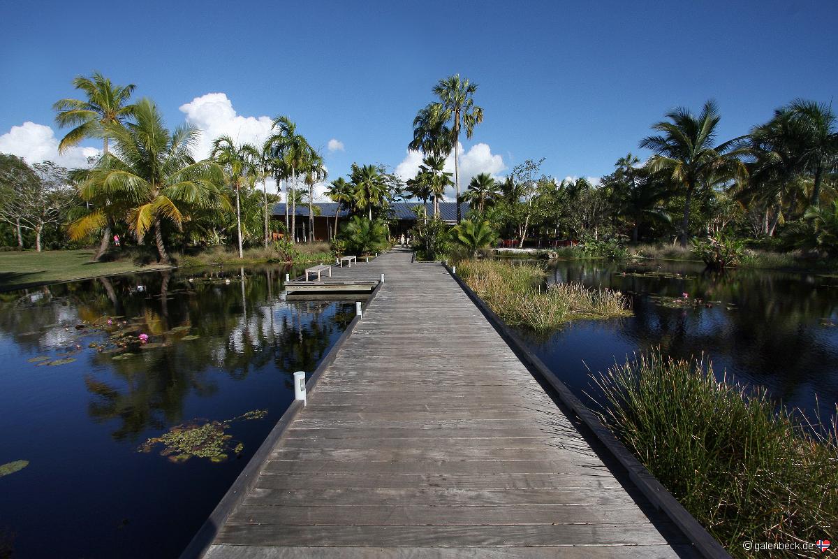 Naples Botanical Garden
