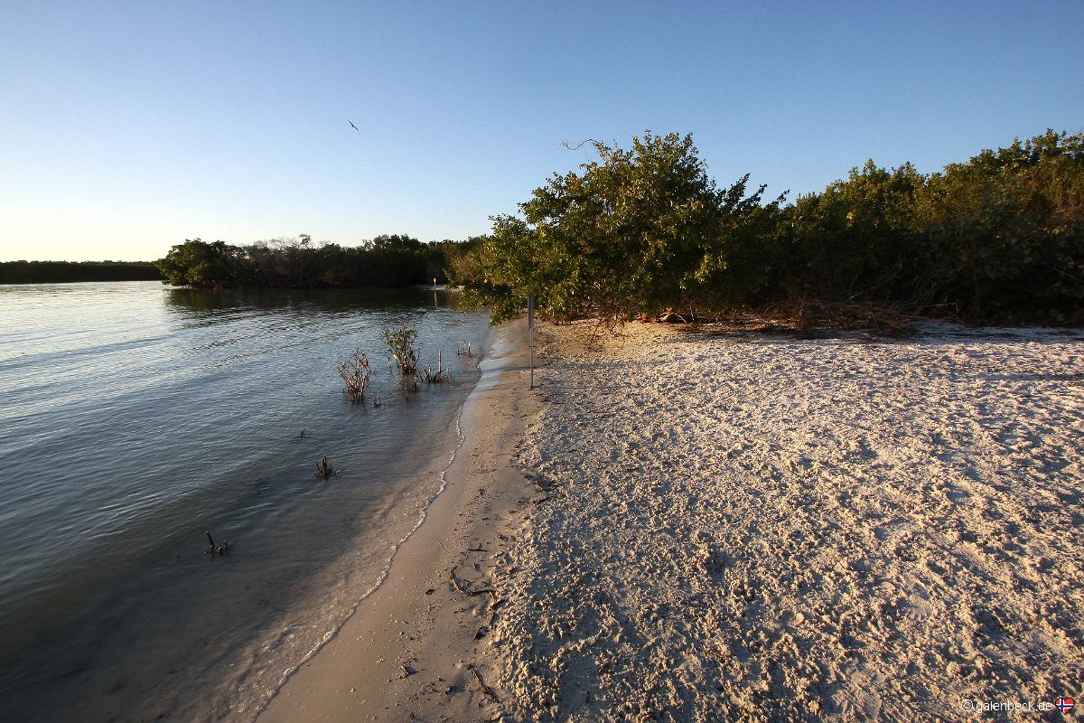 Bonita Beach Dog Park