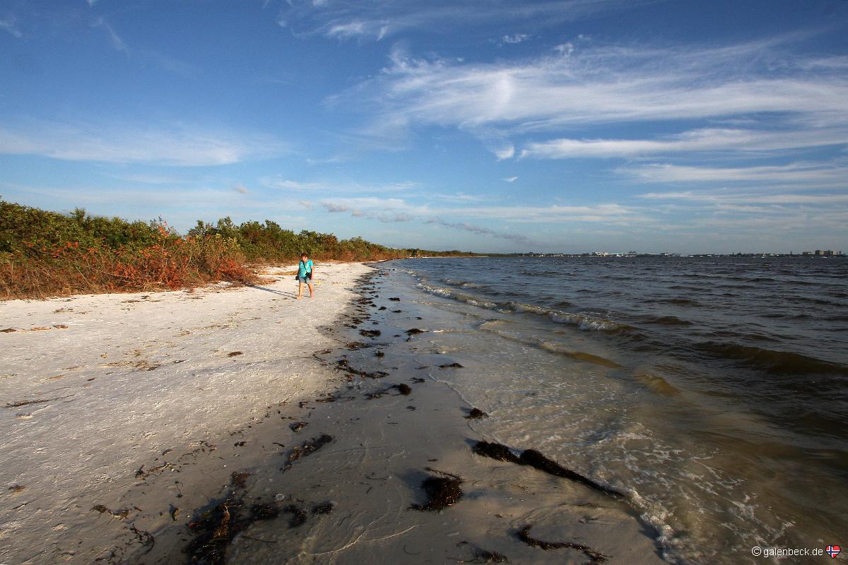 Bunche Beach