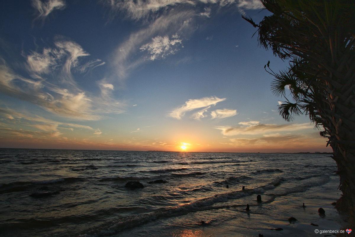 Bunche Beach