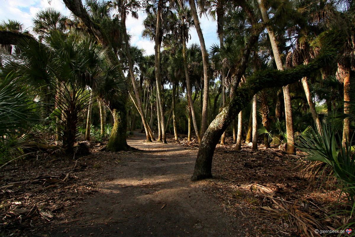 Myakka River State Park