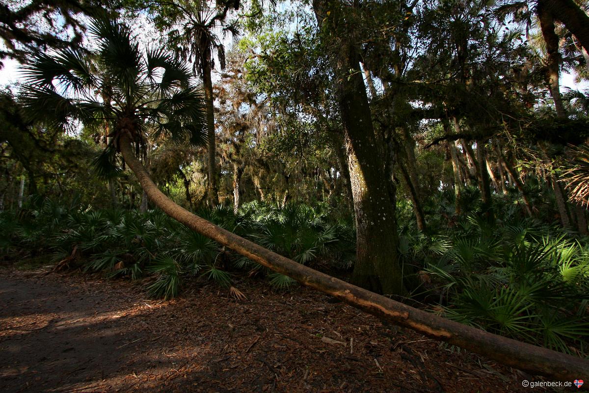 Myakka River State Park