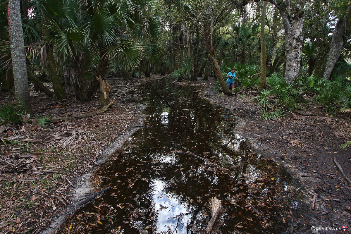 Myakka River State Park