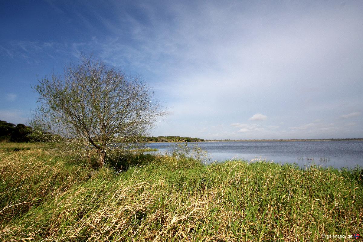 Myakka River State Park