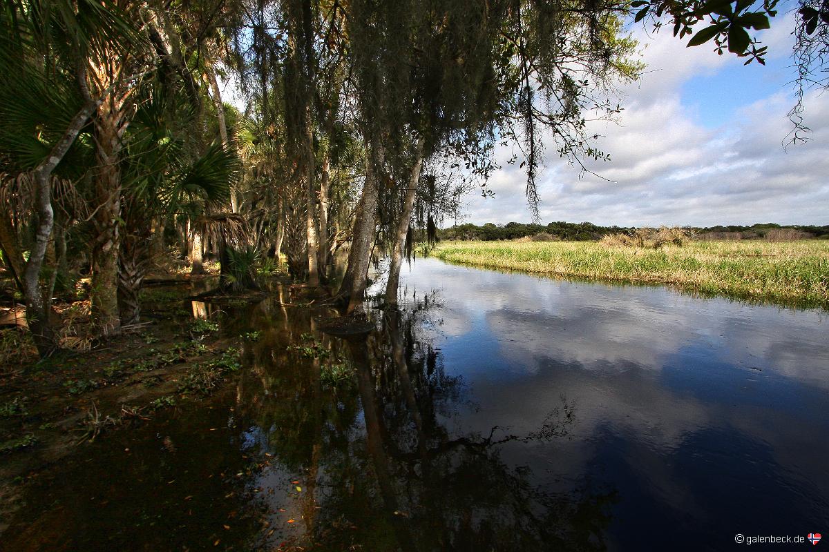 Myakka River State Park
