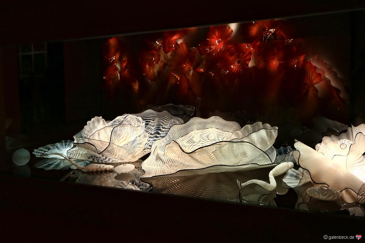 Chihuly Collection