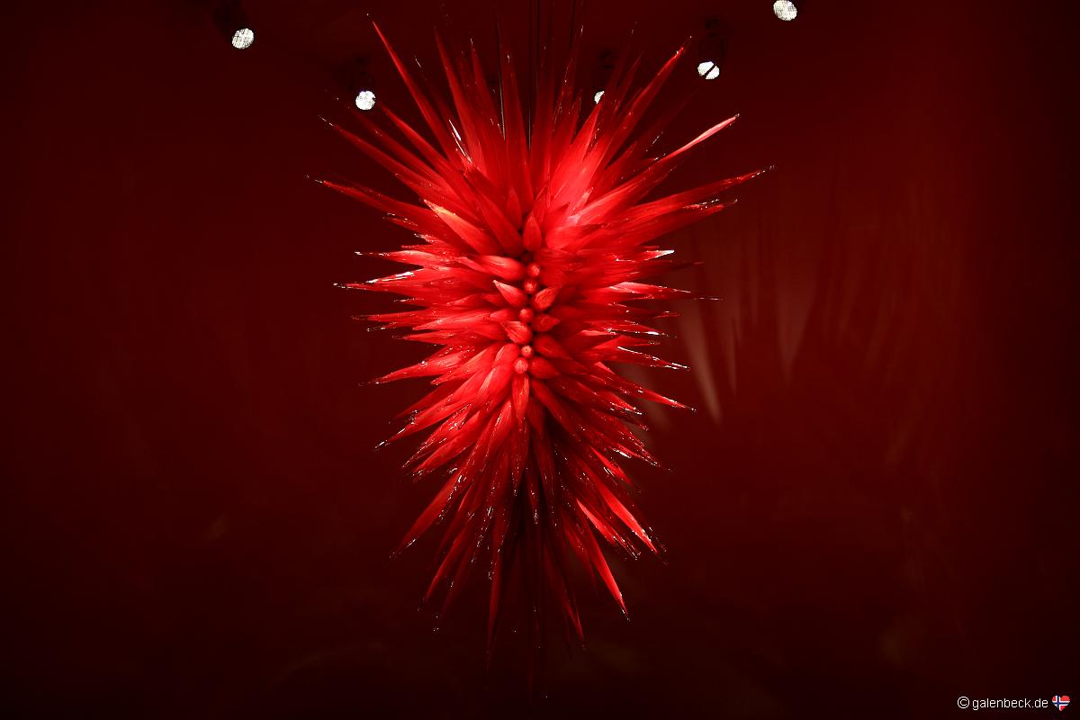 Chihuly Collection