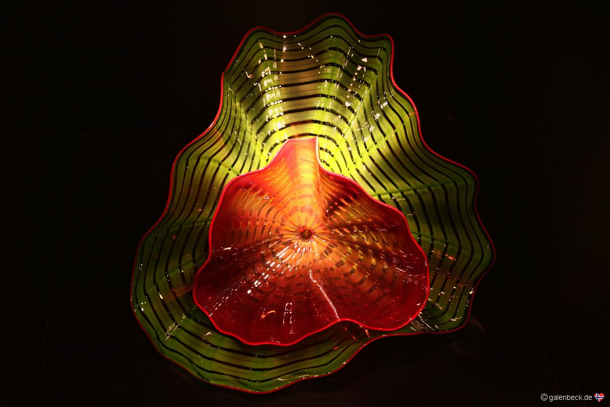 Chihuly Collection