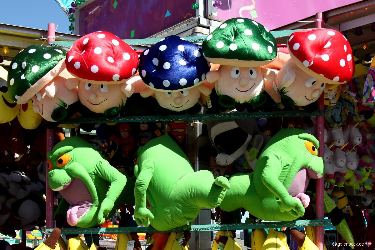 Florida State Fair 2016