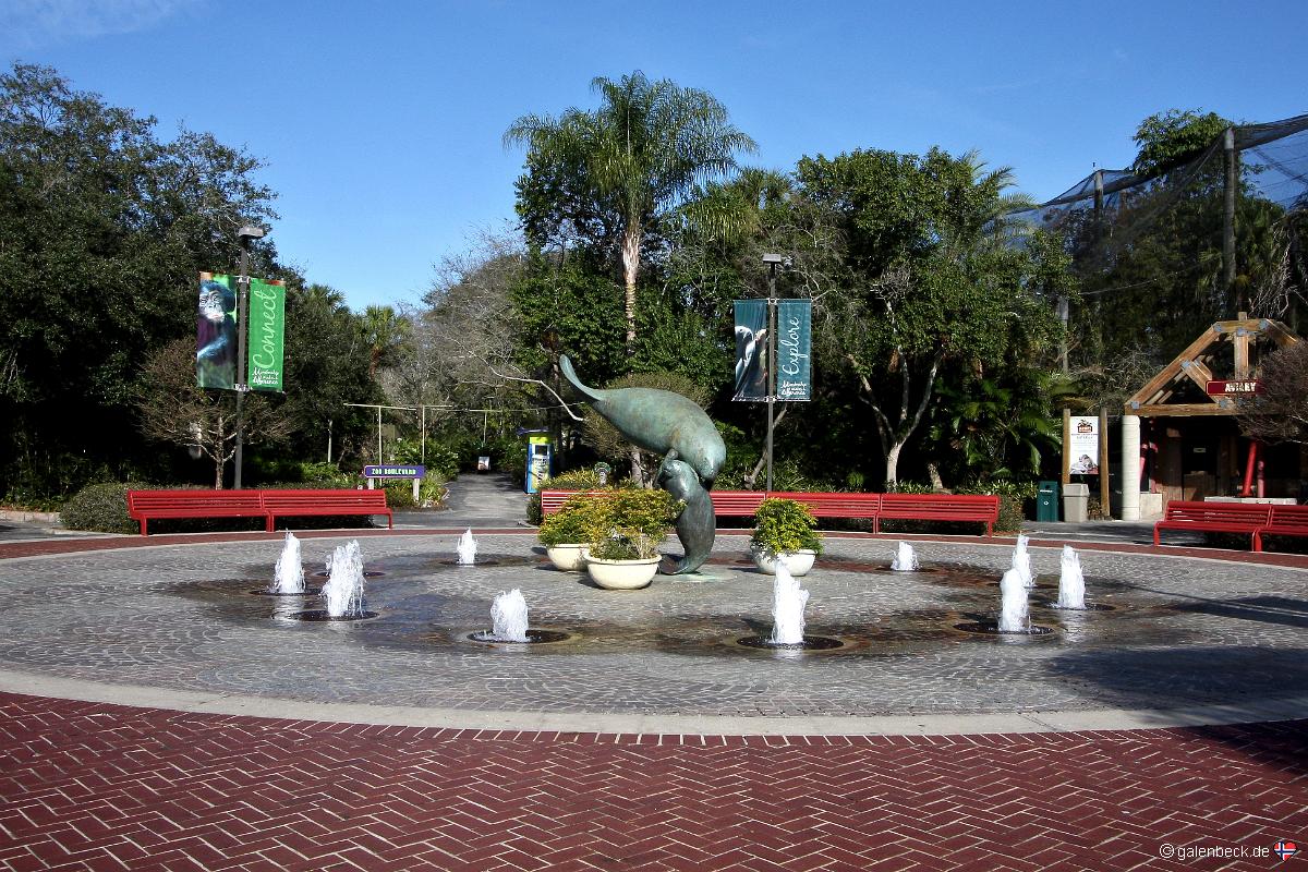 Tampa's Lowry Park Zoo