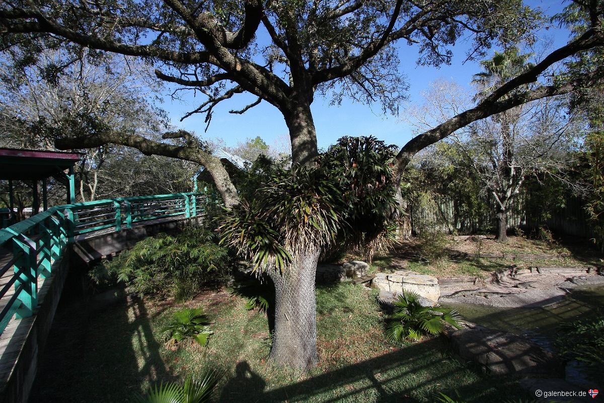 Tampa's Lowry Park Zoo