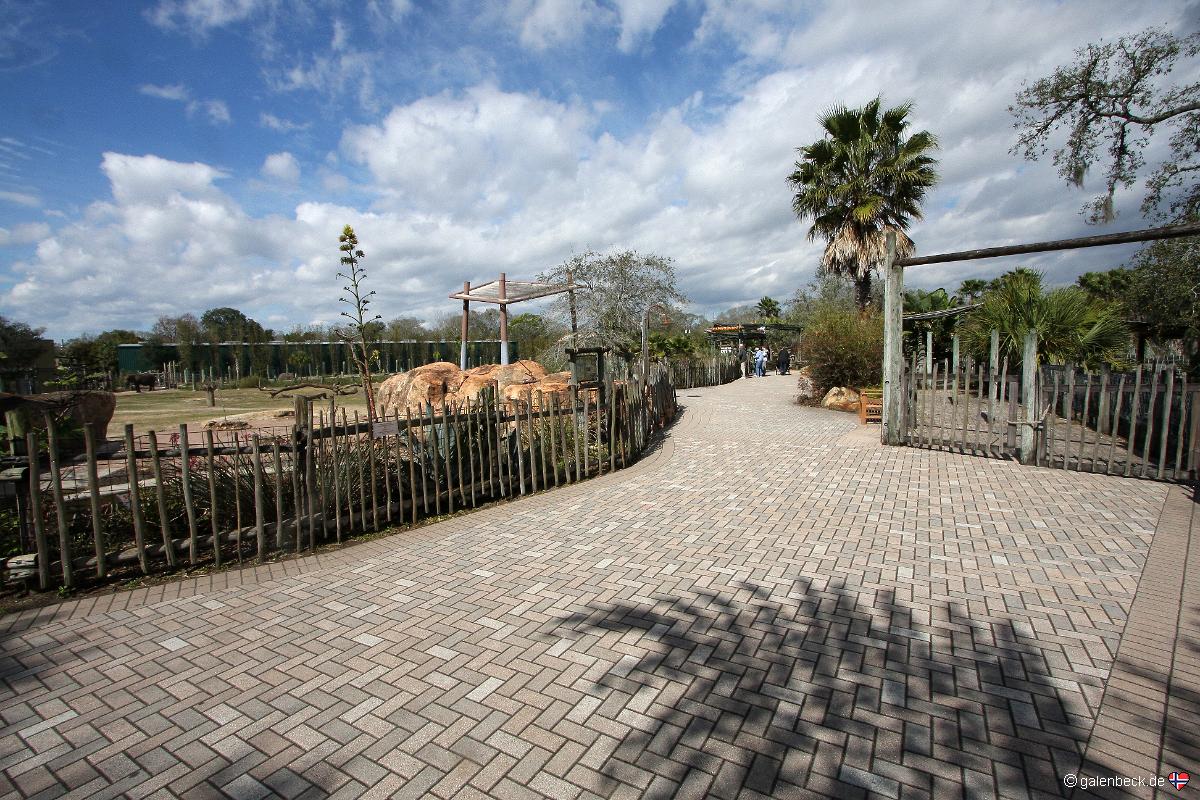 Tampa's Lowry Park Zoo