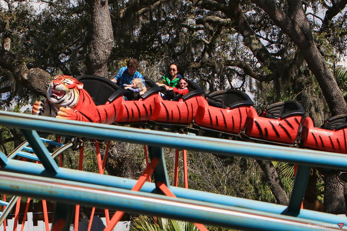 Tampa's Lowry Park Zoo