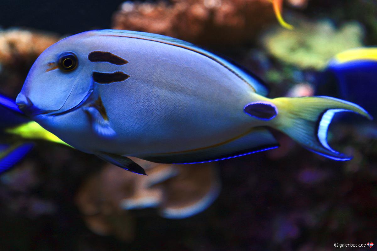 Florida Aquarium Tampa