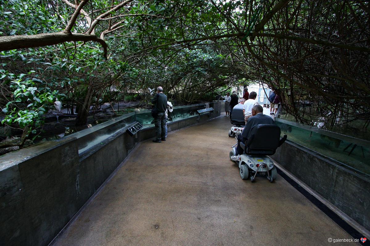 Florida Aquarium Tampa