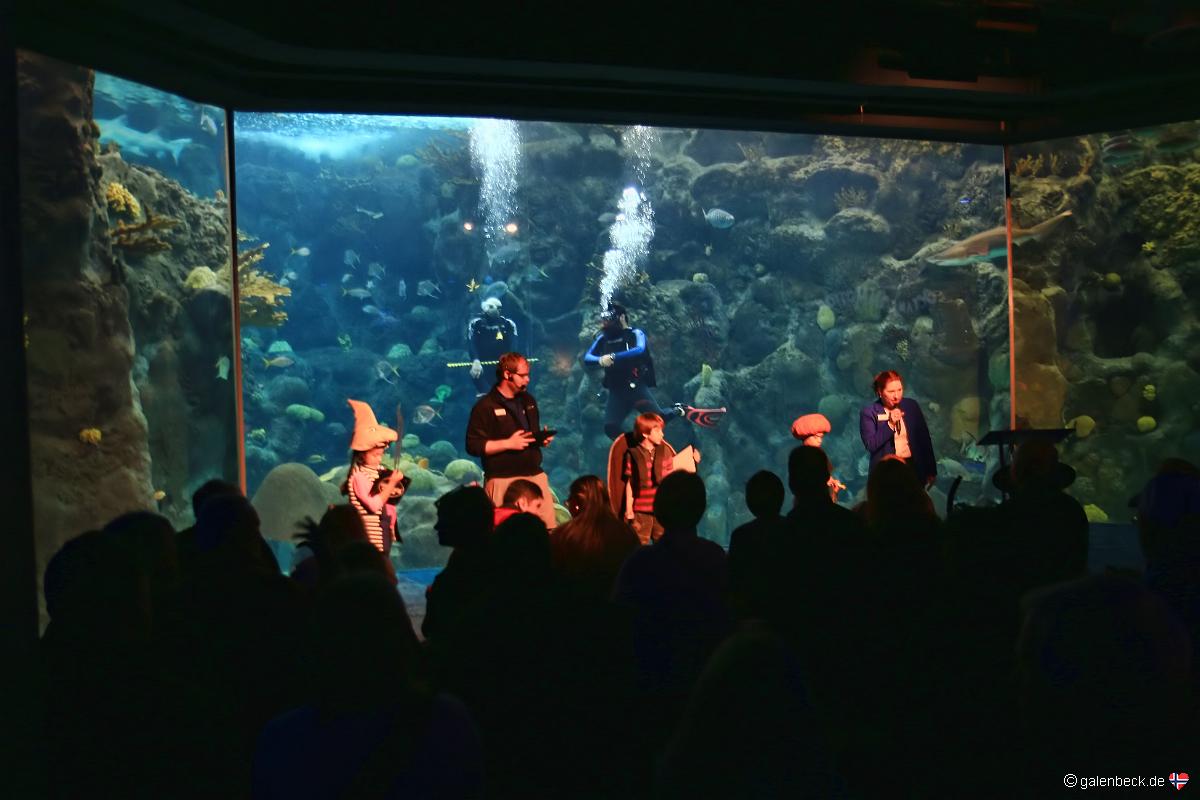 Florida Aquarium Tampa