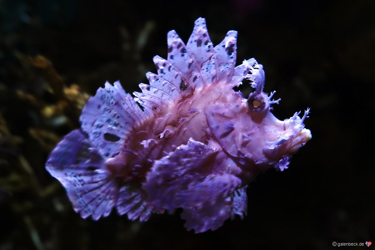 Florida Aquarium Tampa