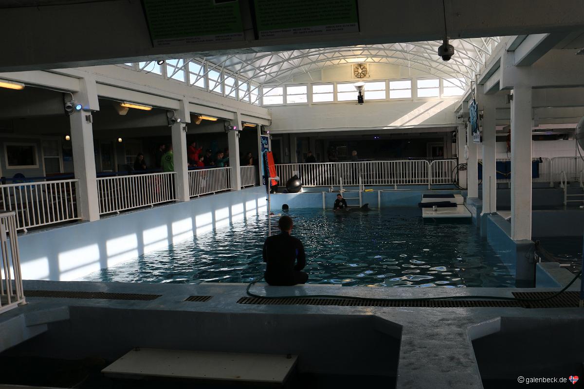 Clearwater Marine Aquarium