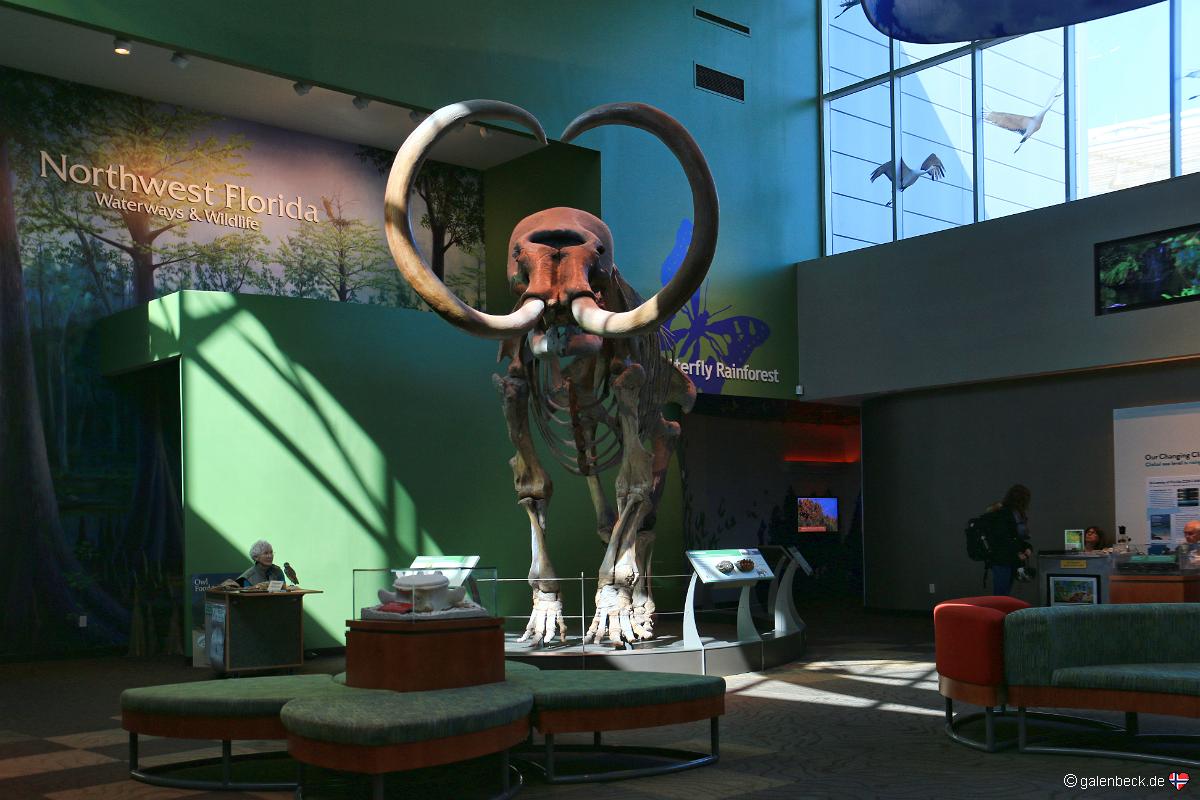 Florida Museum of Natural History